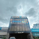 스카이개슬 | 원주 반려견 유치원 스카이개슬 태장동 사회성 교육부터 호텔링까지 완벽 후기 강아지