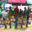 제철맞은 두리안 (DURIAN) 이미지