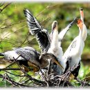 우리가락 민요 이미지