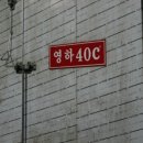 한정농장 티스토리