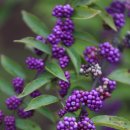 에코리움 이미지