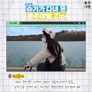 슈기하우스