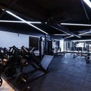 더휘트니스 이미지