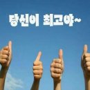 여주-0850 Daum카페