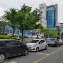 원주특수통닭 이미지
