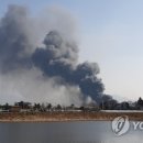 부산종합신발