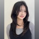 창원 마산 미용실 힐아베크 클리닉 허쉬컷 후기