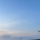 곽지로온 티스토리