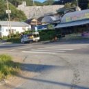 슬기네농장 이미지