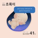 정조로 978번길 5~정조로 978번길 6 | [임신기록8] 임신후기 32~34주 막달검사 산모신생아 건강관리 신청 코베 베이비페어