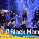 케이맘바 이미지