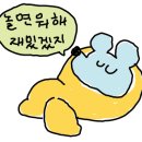 돈사돈구좌흑돼지 이미지