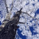 영하슈퍼 이미지