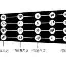 바이올린 음계표시 이미지