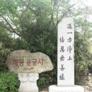 유동커피 일광점 | 해동 용궁사 여행코스 추천 - 바다 위 절경 사찰과 기장 핫플 한눈에!