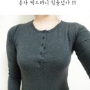 시즈넷 이미지