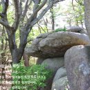 상마 Daum카페