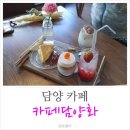 담양화 이미지