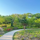 수피아 | 부천 겨울에 갈 만한 식물원 수피아 후기