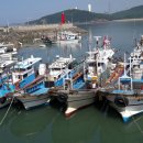 학암포항 이미지