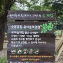 수봉공원 (유아숲체험원) 이미지