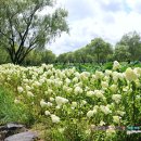 서동공원(궁남지 부근) 음식특화거리 이미지