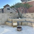 디토키즈풀빌라 이미지