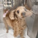 성훈카센타 이미지