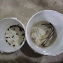 과수원민박 - 남원시 삼산길 14 | 과수원민박