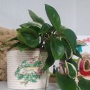 토탈공예 놀이터 이미지