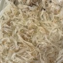 달동산오징어 | 달동산오징어 방문 후기 메뉴판 메뉴정보 오징어맛집 삼산오징어 내돈내산