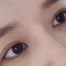 울산 남구 달동 : 속눈썹펌 후기 [에일린뷰티샵]
