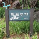 홍연2교 이미지