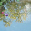 청우태권도 | [드라마리뷰] 엄마친구아들 1화 (컴백/결혼 엎고 회사 그만두고 돌아온 석류)