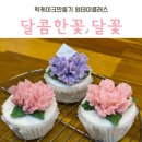 달꽃설기 | 춘천 달콤한꽃,달꽃_원데이클래스 떡케이크 만들기수업 후기