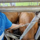 청주약품 이미지