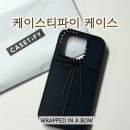 A:IN | 케이스티파이 아이폰15프로 맥세이프 리본 케이스 WRAPPED IN A BOW 후기