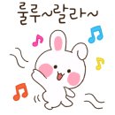 카이로스오토야영장 네이버블로그