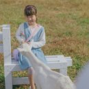 희망씨앗농장 이미지