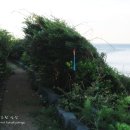 해바라기펜션 이미지