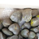 주미 농장 이미지