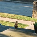 도토리 고개 이미지