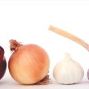 연동물병원 이미지