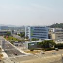 한국전자통신연구원(양식)