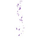 메타웰니스