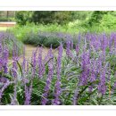 청소년수련관 야외화장실 이미지