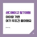 칼즈배드 | 샌디에이고 딸기체험 추천, 아이랑 가기 좋은 칼스배드 딸기농장 솔직 후기