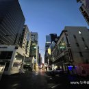 스튜디오콩