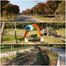 금일 용항천 정비공사 | 전남영광- 불갑사