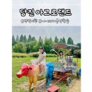 당진 여행 아이와 가볼만한곳 아그로랜드 태신목장 장단점